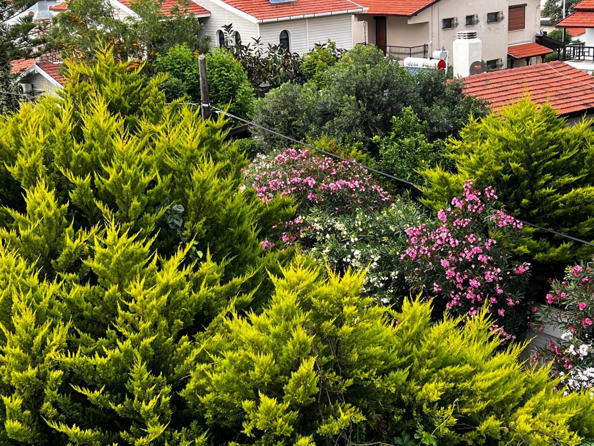 Ada Konak Otel Βουρλά Εξωτερικό φωτογραφία